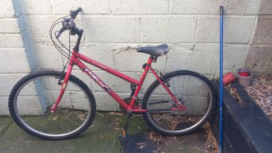 Free to take away adult bike
