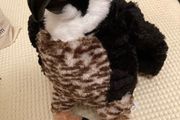 Eagle soft toy from Teddy Mountain