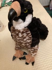 Eagle soft toy from Teddy Mountain