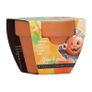 Bizzy Grow Gifts Mini Pots Image 7