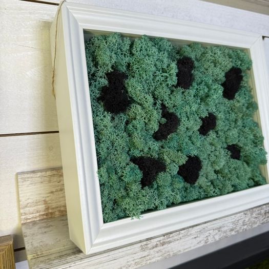Frame 04 - 20x25cm natural moss