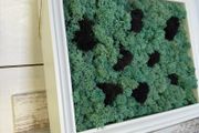 Frame 04 - 20x25cm natural moss