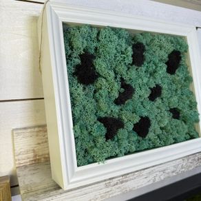 Frame 04 - 20x25cm natural moss