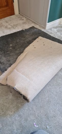 carpet remnant