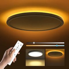 LED Ceiling Light Dimmable 24W, Ceiling Lamp with Remote Control Timeable, 2000K Night Light Warm, Panel 3000K-6500K for Bedroom Kid's Room Living Room Bathroom, Round White 11.8 Inch