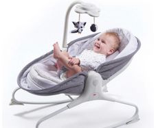 Baby Bouncer