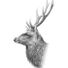 Stephen Murray2