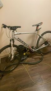 giant bike