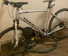giant bike