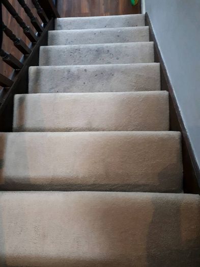Carpet & Upholstery Cleaning Dublin Meath Kildare Wicklow