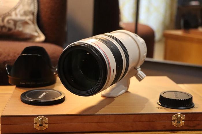Canon Ef 28-300mm F/3.5-5.6 L Is Usm