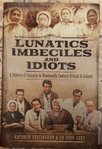 Lunatics, Imbeciles And Idiots: A History Of Insanity In Nineteenth Century Britain And Ireland by Kathryn Burtinshaw and Dr. John Burt