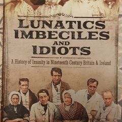 Lunatics, Imbeciles And Idiots: A History Of Insanity In Nineteenth Century Britain And Ireland by Kathryn Burtinshaw and Dr. John Burt