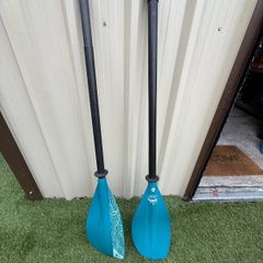 Palm Drift Pro Touring Telescopic Paddle in Teal