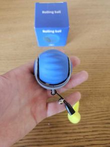 Pet Chasing Toy