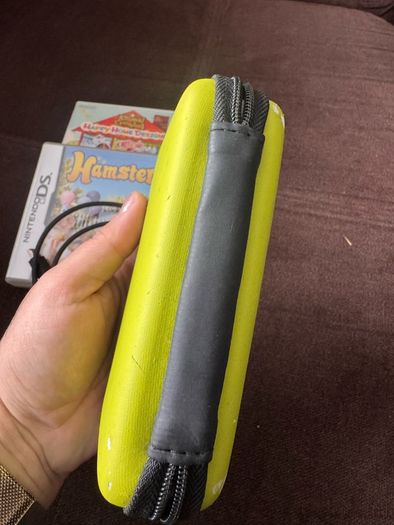 nintendo ds lite