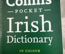 Irish dictionary Collins
