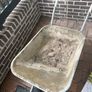 wheelbarrow Image 3