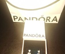 Pandora Earrings