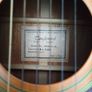 Tanglewood earth 200 acoustic guitar and hard case Image 3