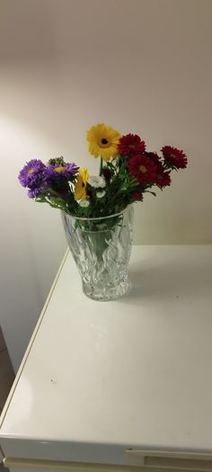 vases