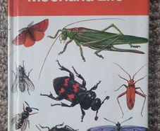 Vintage 'Dune and Moorland Life by Leif Lyneborg