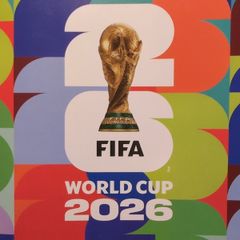 Panini World Cup Stickers
