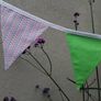 Bunting Image 2