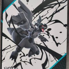 Huge Binder of Pokemon cards for sale! (300+ cards)