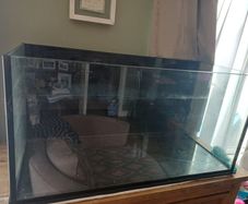 fish tank with accessories