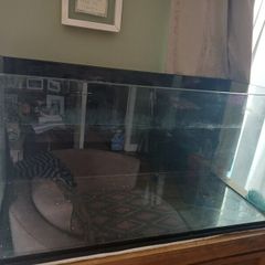 fish tank with accessories