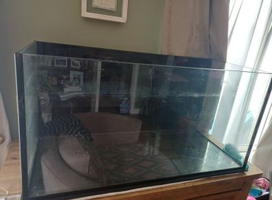 fish tank with accessories