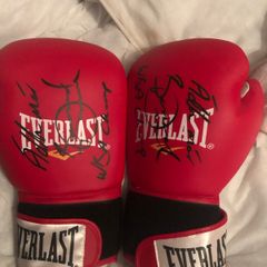 signed Bernard Dunne boxing gloves