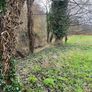 Market garden Image 3