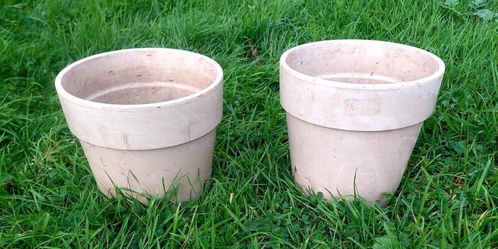 Plant Pot
