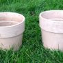 Plant Pot Image 4