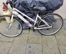 womans hybrid bike