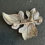 Beau brooch Image 3
