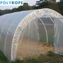 POLYTUNNEL Clear Polythene Sheeting UV4 Greenhouse Foil 8 x 6 meters, 26ft x 20 ft Image 2