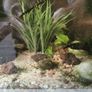 97 ltr tank Image 2