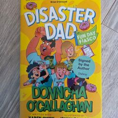 Disaster Dad Fun Day Fiasco book