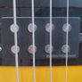 Fender Telecaster Bass Butterscotch Blonde Image 5