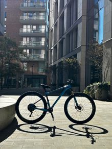 Giant Fathom 29" Modified Wheelie Bike