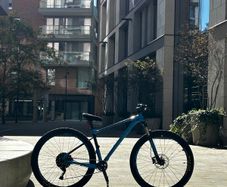 Giant Fathom 29" Modified Wheelie Bike