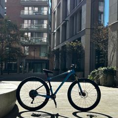 Giant Fathom 29" Modified Wheelie Bike