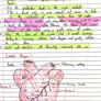 H1 Leaving Cert Biology Notes PDF Price drop for mocks Image 6