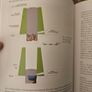 The Archaeology Of Life And Death In The Boyne Floodplain. The Linear Landscape Of The M4. By Neil Carlin, Linda Clarke,and Fintan Walsh. First Edition Large Volume Paperback In Good Condition. See Photos For Same. Image 3