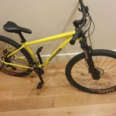 Mountain Bike