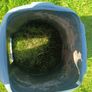 compost bin ecomax 220L Image 4