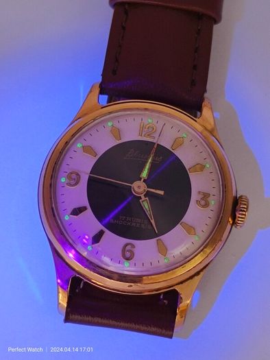 Blumus vintage military Watch